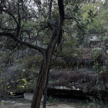Emma Long Park Turkey Creek Trail - Hiking Near Me - Austin, Texas