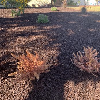 Franciscos Landscaping - Mulch, Plants, Drip system - Landscaping Near Me Franciscos Landscaping - Mulch, Plants, Drip system - Landscaping Near Me