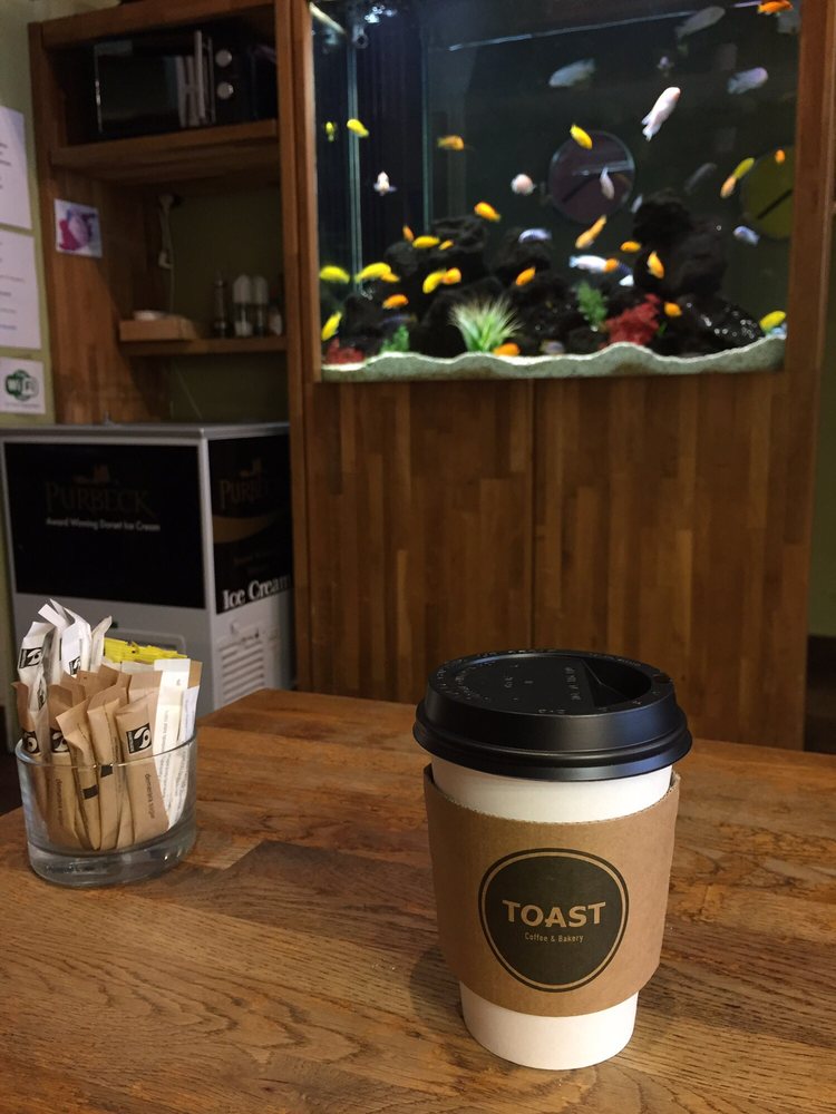CAFE TOAST Updated August 2024 6 Formosa Street, London, United