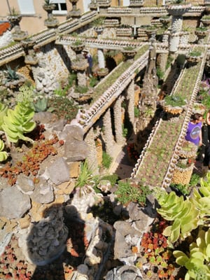 Jardin Rosa Mir by null