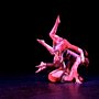 Photo of Jerboa Dance