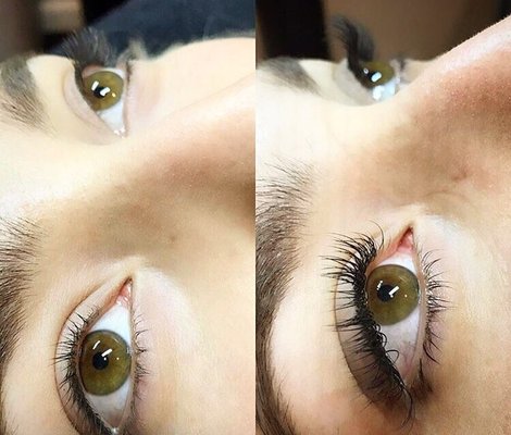 Wink Lashes by null