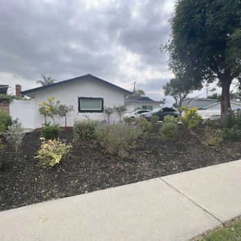 The Gardener - After: all the plants nicely trimmed, weeds pulled. - Landscaping Near Me