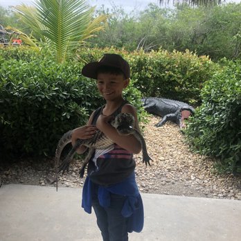 gator park - Gator park - Boat Tours Near Me - Miami, Florida gator park - Gator park - Boat Tours Near Me - Miami, Florida