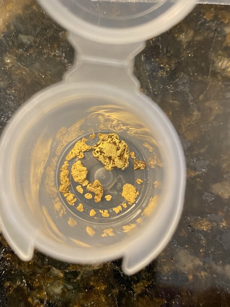 Gold Daughters