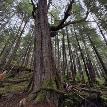 High Output Adventures - Hiking Near Me - Sitka, Alaska