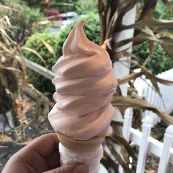 Dairy Twist - PUMPKIN soft served - Ice Cream & Frozen Yogurt Near Me - Pembroke, Massachusetts Dairy Twist - PUMPKIN soft served - Ice Cream & Frozen Yogurt Near Me - Pembroke, Massachusetts
