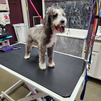 Wright Touch Grooming - Pet Groomers Near Me - Pontiac, Illinois