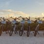 Photo of Better On Bikes