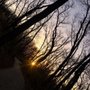 Photo of Tomahawk Creek Trail