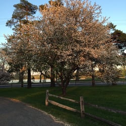Waterworks Park