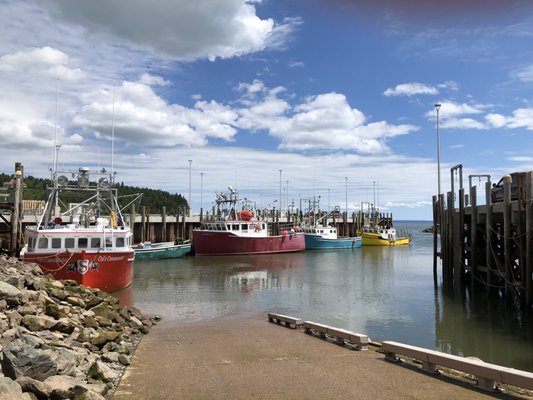 Parkland Village Inn by null