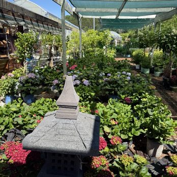 Garden Goods - Nurseries & Gardening Near Me - Traverse City, Michigan Garden Goods - Nurseries & Gardening Near Me - Traverse City, Michigan
