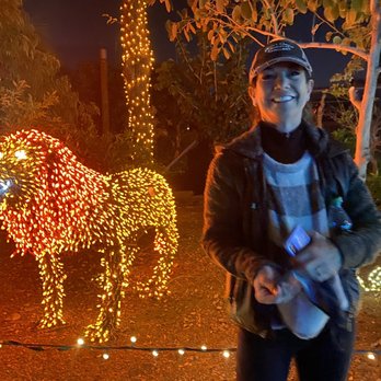 Zoolights - Zoos Near Me - Phoenix, Arizona