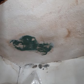Veno Properties - Mold Bloom - Property Management Near Me Veno Properties - Mold Bloom - Property Management Near Me