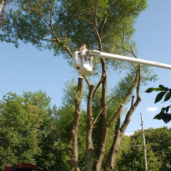 Limbhanger Tree Service - Tree Services Near Me - Oswego, New York Limbhanger Tree Service - Tree Services Near Me - Oswego, New York