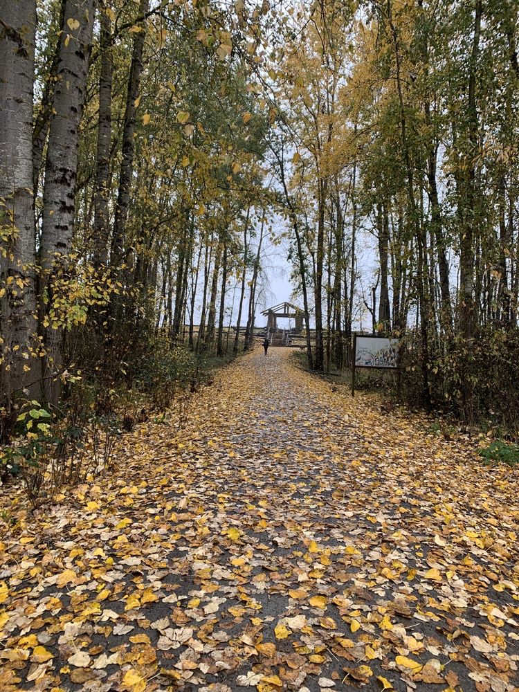 COTTONWOOD BEACH Updated September 2024 24 Photos Index St & S