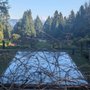 Photo of Lewis & Clark College