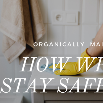 Organically Maid - Organic home cleaning and disinfecting services in Dalla/Fort Worth Texas. Organically Maid uses probiotics and essential oils. - Home Cleaning Near Me - Arlington, Texas Organically Maid - Organic home cleaning and disinfecting services in Dalla/Fort Worth Texas. Organically Maid uses probiotics and essential oils. - Home Cleaning Near Me - Arlington, Texas