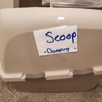 Trusting Connections - Everything was clearly labeled for them - Nanny Services Near Me - Oro Valley, Arizona Trusting Connections - Everything was clearly labeled for them - Nanny Services Near Me - Oro Valley, Arizona