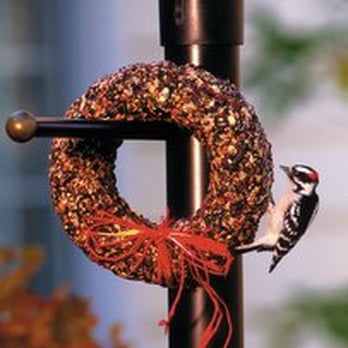 Wild Birds Unlimited - Save 50% OFF holiday seed wreaths! Decorate your yard and feed your birds! Offer valid thru 12/24/15 with purchase of $50 or more. - Bird Shops Near Me - Fort Collins, Colorado Wild Birds Unlimited - Save 50% OFF holiday seed wreaths! Decorate your yard and feed your birds! Offer valid thru 12/24/15 with purchase of $50 or more. - Bird Shops Near Me - Fort Collins, Colorado