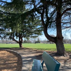 Padan Park - Park view