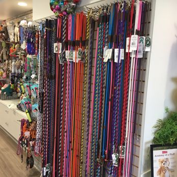 Notorious DOG - Pet Stores Near Me - Williamsville, New York Notorious DOG - Pet Stores Near Me - Williamsville, New York