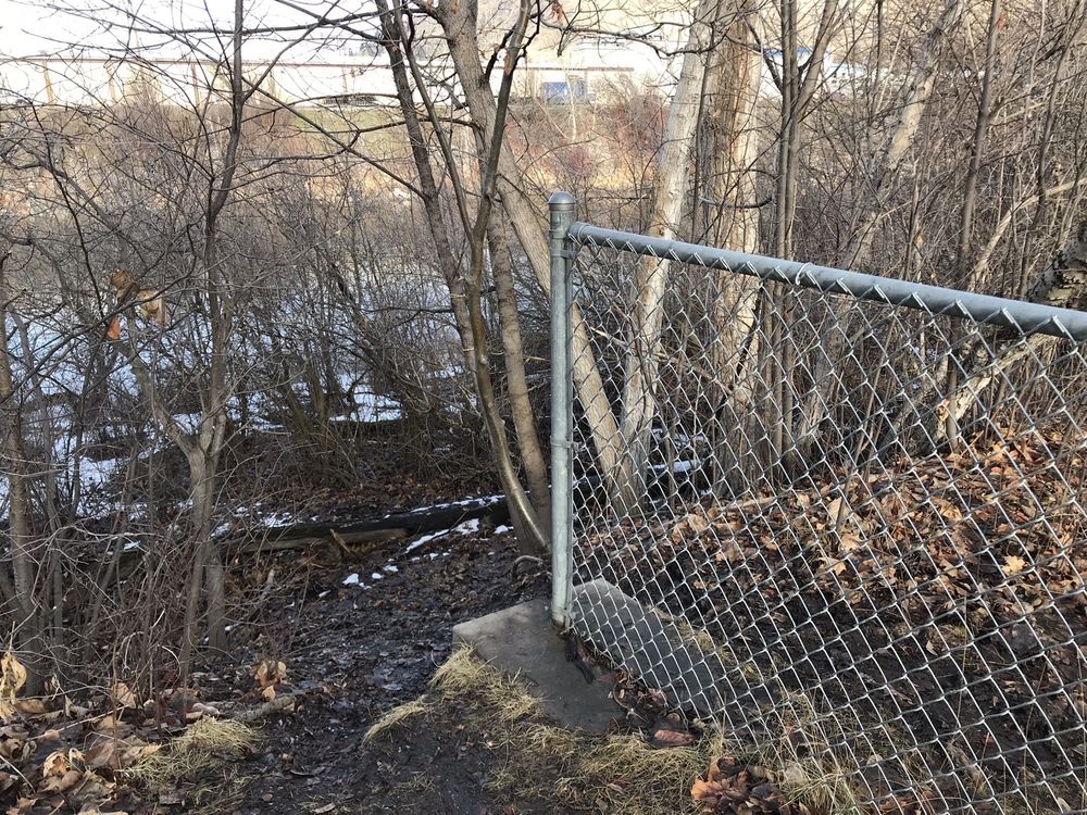 JACOB’S ISLAND BARK PARK 27 Photos & 17 Reviews VanBuren And 5th