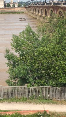 Pont de Pierre by null