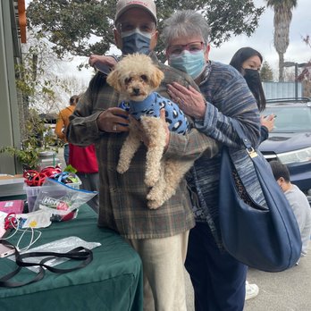 Adopt a pet - Miro and us! - Pet Adoption Near Me - Claremont, California