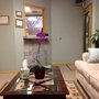 Photo of Balanced Rock Chiropractic