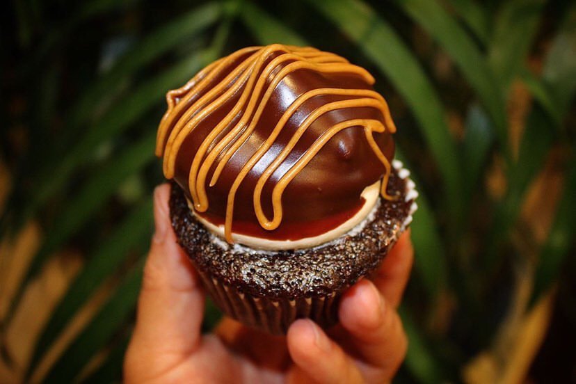 Sister’s Cupcakes Logo