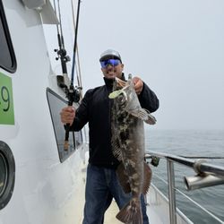 North Bay Fishing Tackle  - Nice lingcod caught on a squidtrex from Northbay Fishing Tackle!