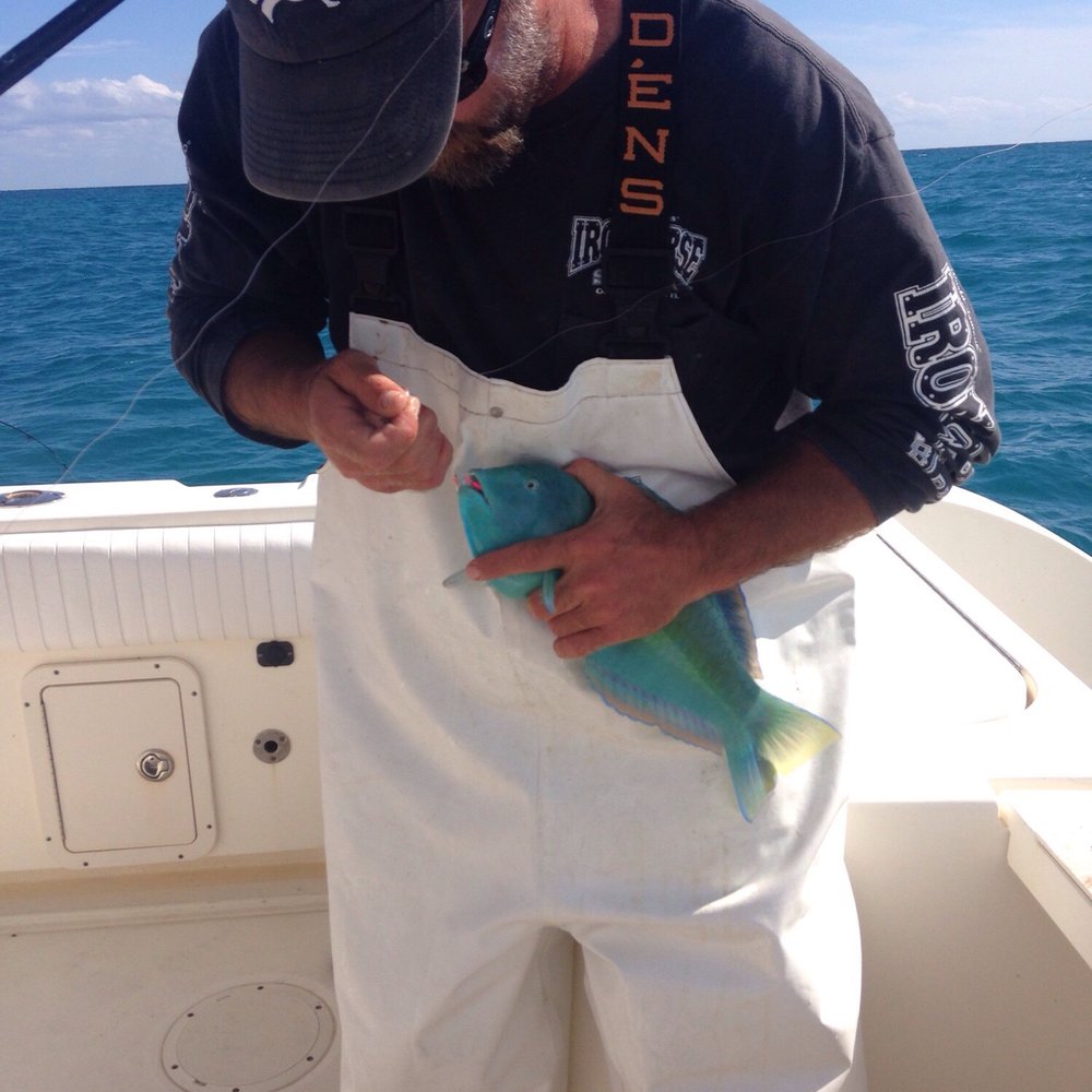 5 STAR Sportfishing Charters - We caught several different types of fish and Captain Chad was very knowledgeable about every one m - Fishing Near Me - Islamorada, Florida