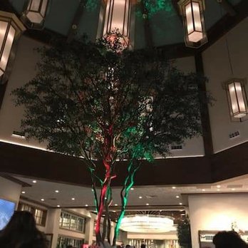 Limani - Mediterranean Near Me - Charlotte, North Carolina