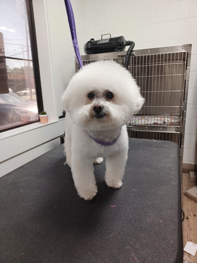 CENTRAL HOUSTON ANIMAL HOSPITAL 15 Photos & 38 Reviews 1638