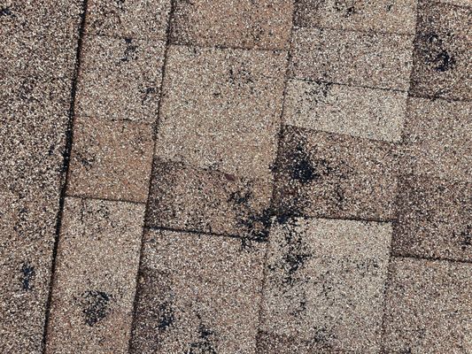 Roderick Roofing Logo