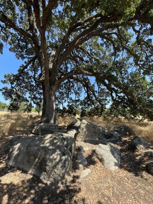 Maidu Museum & Historic Site by null