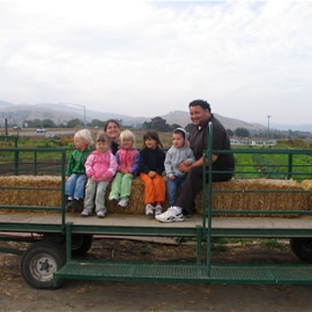 Auburn's House Montessori School - Visit to the pumpkin patch. - Preschools Near Me - Seaside, California Auburn's House Montessori School - Visit to the pumpkin patch. - Preschools Near Me - Seaside, California