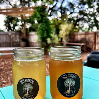 Beech Kombucha - Hooch and booch - Kombucha Near Me - St. Petersburg, Florida