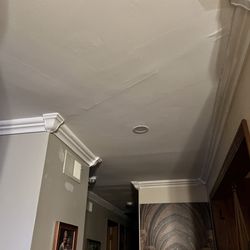 Nowakowski Painting - Ceiling