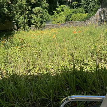 Winterthur - Museums Near Me - Winterthur, Delaware