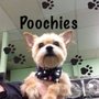 Photo of Poochie's Pet Club