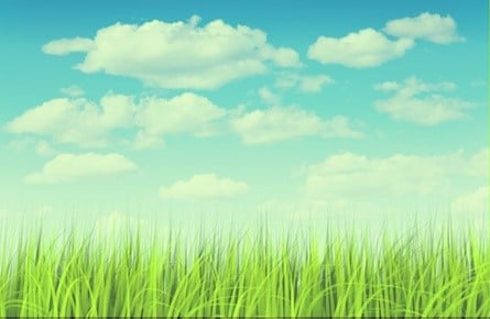 Your Environmental Services - mold inspector in Mishawaka, IN