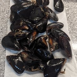 Over a pound of broken, opened mussels.