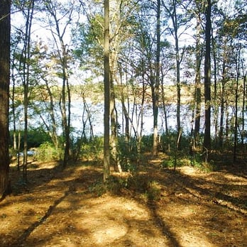 Tyler State Park - view of the water from campsite - Parks Near Me - Tyler, Texas Tyler State Park - view of the water from campsite - Parks Near Me - Tyler, Texas