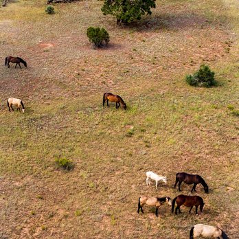 Fireground Drone Works - Wild Horses near Heber, AZ - Photographers Near Me - Show Low, Arizona Fireground Drone Works - Wild Horses near Heber, AZ - Photographers Near Me - Show Low, Arizona