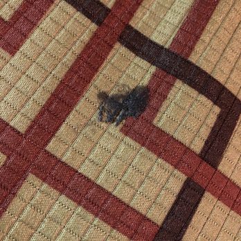 Americas Best Value Inn - Gum stuck on blankets - Hotels Near Me - Azusa, California