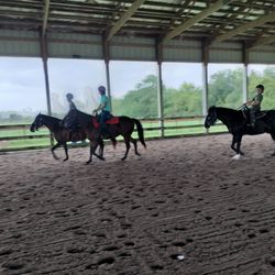 Sunny Times Stables