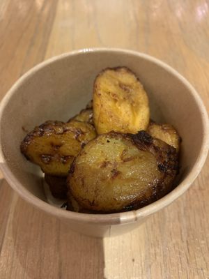 The Calypso Rose by null